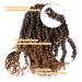 Pre-looped Passion Twist Crochet Hair 10 Inch 8 Packs T1B/30# - Short Hair Extension - Buy Online on GoSupps.com