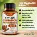 Organic Ceylon Cinnamon Capsules 1200mg True Cinnamon Supplement for Healthy Metabolism & Glucose Balance 60 Vegan Pills 60 Count (Pack of 1) - Buy Online on GoSupps.com