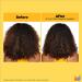 Matrix A Curl Can Dream Lightweight Hair & Scalp Oil - Adds Shine - For Curly & Coily Hair - Silicone-Free - Vegan - 4.4 Fl. Oz - Buy Online on GoSupps.com