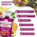 2 Pack Quercetin Gummies with Bromelain, Elderberry, Zinc & Vitamin C - Immunity & Cardiovascular Support - Vegan Chewable Supplement for Allergy Relief - 1000mg Quercetin for Adults & Kids - Buy Online on GoSupps.com