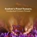 Rasayanam Pure Original Kashmiri SaffronKesarKumkuma Puvvu 1gm Certified highest class A Keshar Saffron for Pregnant Women Pooja Rituals & Food Flavoring Pack of 1 1 g - Buy Online on GoSupps.com