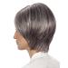 Lofty Wig Sabine - Premium Synthetic Hair Wig in Slate with Light Streaks | Realistic Look - Buy Online on GoSupps.com