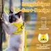 Supet Cat Dishes: Soft Yellow Cat Vest for Kittens & Small Dogs (M 33-38 cm) | International Shipping - Buy Online on GoSupps.com