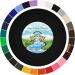 Country Brook Design 1 Black Polypro Webbing - 25 Yards - Buy Online on GoSupps.com