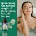 GuruNanda Eucalyptus Essential Oil - 100% Pure Aromatherapy Oil for Diffusers & Massages - Congestion Relief (0.5 Fl Oz - Buy Online on GoSupps.com