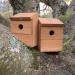 Wooden Multi-Hole Wild Bird Classic Nest Box Birdhouse (Pack of 2) - Buy Online on GoSupps.com