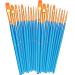 BOSOBO Paint Brushes Set 2 Pack 20 Pcs Round Pointed Tip Paintbrushes Nylon Hair Artist Acrylic Paint Brushes for Acrylic Oil Watercolor Face Nail Art Miniature Detailing and Rock Painting Blue Blue 2 Pack