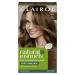 Clairol Natural Instincts Semi-Permanent No Ammonia Hair Dye 6G Light Golden Brown 6G Light Golden Brown 1 count (Pack of 1)