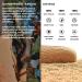Cork Insoles for Arch Support & Foot Pain Relief - Men's 8.5-9/Women's 9.5-10 - Ideal for Flat Feet, Sports, Standing All Day - Comfortable Shoe Inserts for Daily Use - Buy Online on GoSupps.com