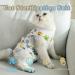 CLLRYBO Katzenbody for Cats - Post-Surgery Medical Shirt | Hippo Design | M Size Recovery Suit - Buy Online on GoSupps.com