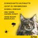 Effective Flea & Tick Protection for Cats (2-8kg) | Monthly Chewing Tablets - Easy to Administer - Buy Online on GoSupps.com