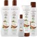 Biosilk Silk Therapy Organic Coconut Oil - Nourishing Hair & Skin Treatment | Shop Internationally - Buy Online on GoSupps.com