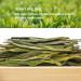Oriarm 2023 Xihu Longjing Green Tea Loose Leaf 250g - Ecologically Grown Chinese Dragon Well Tea - Spring Dragonwell Tea Leaves in Resealable Bag - Buy Online on GoSupps.com