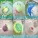 INTEYE 6 Organic Bath Bombs Gift Set - Handmade Spa Fizzies with Essential Oils for Dry Skin - Perfect Gift for Women - Buy Online on GoSupps.com