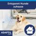 Adaptil Calm Start Set - Relaxation Solution for Dogs | Fast International Shipping - Buy Online on GoSupps.com