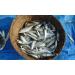 Buy La Quiberonnaise Sardines Filets Marin es Au Vin Blanc 8x115g in Decorative Can | Gourmet Fish & Natural Herbs International Shipping Available - Buy Online on GoSupps.com