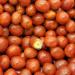 Boston Baked Beans Candy Coated Peanuts - 3 Pound Bulk Pack | Perfect for Snacking - Pack of 1 - Buy Online on GoSupps.com