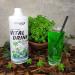 Best Body Nutrition Vital Drink Zerop - Sugar-Free Waldmeister Syrup Concentrate - Makes 80 Liters - 1L Pack for Optimal Hydration - Buy Online on GoSupps.com