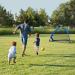 Portable Pop Up Soccer Goal Net Set with Accessories - 2.5ft Blue | For Kids & Adults Training and Backyard Play | Carrying Case & Training Cones Included - Buy Online on GoSupps.com