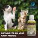 Avalon Pet Products Clearit Traditional Ear Powder Fast Acting Super Effective 20g Stops Discomfort Head Shaking Wax Gunk & Ear Odour - Buy Online on GoSupps.com