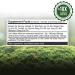 Fungi Perfecti Myco Botanicals Greens 3.5 oz | Organic Superfood Blend - Buy Online on GoSupps.com