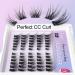 Zegaine Wispy CC Curl Cluster Eyelash Extensions 6-14mm - 60Pcs Erato Individual Lashes for DIY Natural Look at Home - Buy Online on GoSupps.com