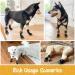 Non-Slip Dog Socks 2 Pairs - Adjustable Indoor Dog Cat Paw Protectors - Fits Extra Small to Extra Large Dogs Cats - M Black - Buy Online on GoSupps.com