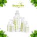 Sapadilla Dish Soap Rosemary Peppermint - 16 Fl Oz | Eco-Friendly Vegan & Biodegradable - Buy Online on GoSupps.com