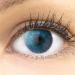 Buy Novelry Verona Blue Contact Lenses - Silicone Comfort Natural Look 1 Pair (Dia 14.20) with Container - Perfect for All Eyes! - Buy Online on GoSupps.com