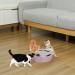 Buy Pawaboo Electric Mouse Cat Toys - Interactive Kitten Play Safe Scratch Mat & Chew Balls in Violet Taro - Buy Online on GoSupps.com