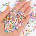 CCINEE Nail Art Slices 3D - 4500PCS Assorted Fruit Animal Flower Polymer Clay for Slime Craft - Buy Online on GoSupps.com