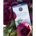 Organic Black Currant Premium Pyramid Tea Bags - 20 Count Pack | High-Grown Organic White Tea Blend | Biodegradable Tea Bags for Tea Lovers - Buy Online on GoSupps.com