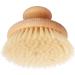 Redecker Natural Pig Bristle Massage Brush - Oiled Beechwood Knob - 3-7/8-Inches - Buy Online on GoSupps.com
