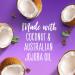 Aussie Miracle Curls Refresher Spray Gel - 5.7 oz with Coconut & Jojoba Oil - Buy Online on GoSupps.com