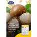 Scholl Expertcare Intensive Foot Mask Socks - Moisturizing Treatment for Silky Soft Feet - 3 Pairs (1 Pack) - International Shipping Available - Buy Online on GoSupps.com