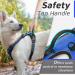 Eagloo Large Dog Harness - Adjustable Anti-Train Control Harness for Labradors & Large Dogs - Blue - 1 Pack - Buy Online on GoSupps.com