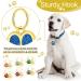 JATEBI 2 Pack Personalized Glitter Paw Pet ID Tags - Custom Engraved for Cats and Dogs - Easy to Read - Blue - Buy Online on GoSupps.com