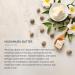 Lotus Professional Dermo Spa Brazilian Age Defying Night Creme - 50g | Anti-Aging Skincare for All Skin Types - International Shipping Available - Buy Online on GoSupps.com