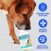 JOINTSURE Joint Support Supplements for Dogs 120 Tabs Aids Stiff Joints Supports Joint Structure & Maintains Mobility in Adult/Senior Dogs | Advanced Formula Helps Arthritis Relief (pack varies) 120 Tablets - Buy Online on GoSupps.com