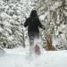 Yukon Charlie's Advanced Float Women's Snowshoe - 8 x 21 | Lightweight & Durable - Buy Online on GoSupps.com