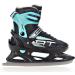Raven Adjustable 2-in-1 Inline & Ice Skates - Professional ABEC7 Shock Absorbing Triple Foam Black/Mint (Size 38-42) - Buy Online on GoSupps.com