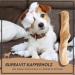 Supravit Natural Chewing Bones for Dogs - Coffee Wood Chew Toys | Long-lasting Play & Engagement | Caustab Chewing Wood for Dogs - Buy Online on GoSupps.com
