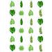 24 edible PRE CUT Jungle rainforest leaves kids childrens party decorations Wafer Paper Cupcake Topper Cake - Buy Online on GoSupps.com