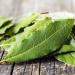 500g Whole Dried Bay Leaves - Laurus Nobilis - Intense Aroma & Taste - 100% Natural Pure and No Additives | Qual - Buy Online on GoSupps.com