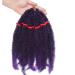 SEGO 11 Afro Crochet Braids Kinky Curly Hair Bulk Extensions in Black & Purple for Stunning Hairstyles | International Shipping Available - Buy Online on GoSupps.com