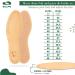 Sulpo Plant-Tanned Leather Insoles - 3 Pairs Anti-Odor Cork Inserts for Men & Women | Sweat-Proof Comfortable Footwear - Buy Online on GoSupps.com
