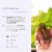 Nuvo Snail Slime 90% Organic Face Gel Serum - Niacinamide & Lavender for Acne & Enlarged Pores | 30ml Made in Italy - Buy Online on GoSupps.com