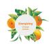 ATTITUDE Super Leaves Hypoallergenic Energizing Body Cream - Orange Leaves 8 fl oz - Pack of 1 - Buy Online on GoSupps.com