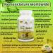 Organic Pure Guduchi Capsules (Tinospora Cordifolia) - Immune Support and Wellness Boost - Buy Online on GoSupps.com