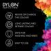 DYLON Washing Machine Fabric Dye Pod for Clothes & Soft Furnishings 350g Espresso Brown (Pack of 2) - Buy Online on GoSupps.com